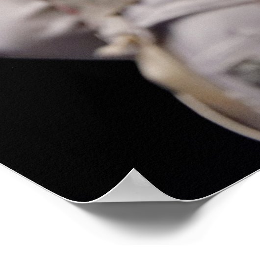 Amerikaanse omheining poster (Hoek)