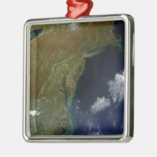 Amerikaanse oostkust metalen ornament (Links)