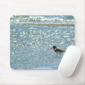 Amerikaanse Oystercatcher Mousepad Muismat (Met muis)