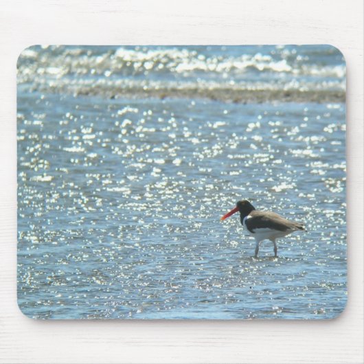 Amerikaanse Oystercatcher Mousepad Muismat (Voorkant)