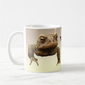 Amerikaanse paddenstoelen brengen het op koffiemok (Links)