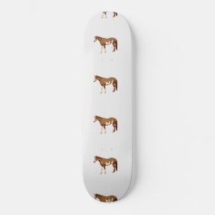 Amerikaanse Paint Horse Aquarel Paardensport Persoonlijk Skateboard