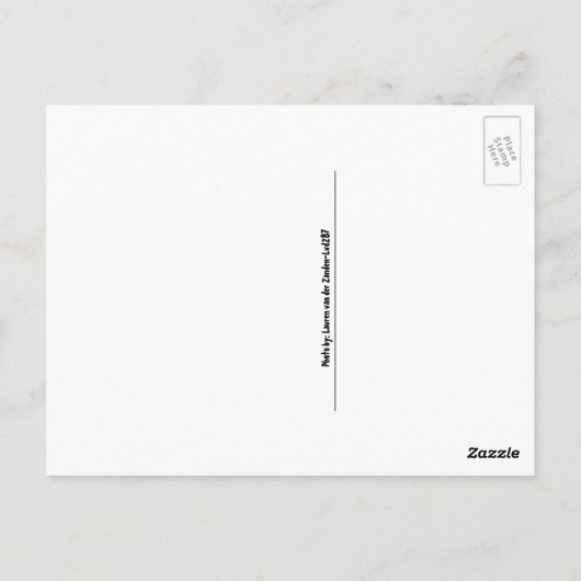 Amerikaanse pannenbessen en witte chocolade briefkaart (Achterkant)