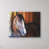 Amerikaanse patriot canvas afdruk (Voorkant)