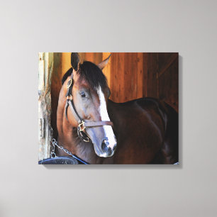 Amerikaanse patriot canvas afdruk