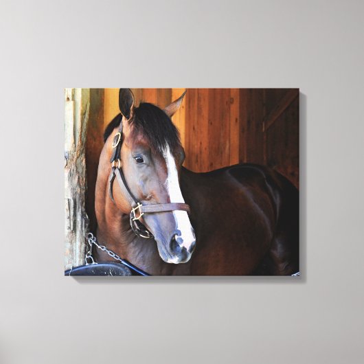 Amerikaanse patriot canvas afdruk (Voorkant)