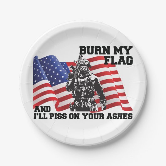 Amerikaanse patriot papieren bordje (Voorkant)