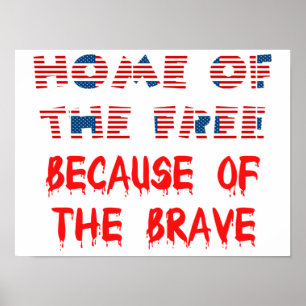 Amerikaanse patriottische thuisbasis van de gratis poster