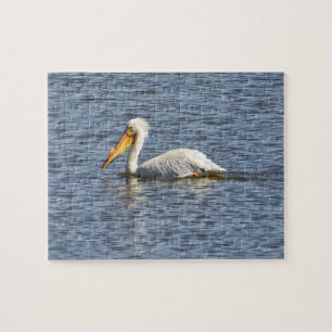 Amerikaanse Pelican Legpuzzel