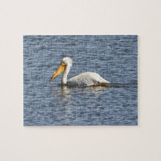 Amerikaanse Pelican Legpuzzel