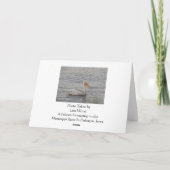 Amerikaanse pelikaan op verjaardag Mississippi Kaart (Achterkant)