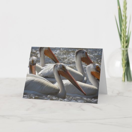 Amerikaanse Pelikanen Fotografie Blank Kaart (Voorkant)