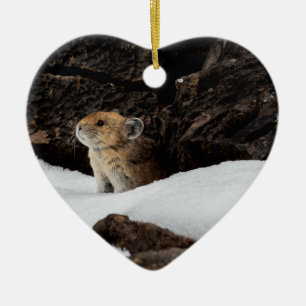Amerikaanse Pika in de sneeuw met hartshaped Keramisch Ornament