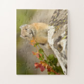 Amerikaanse Pika Jigsaw Puzzel (Verticaal)