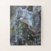 Amerikaanse pika verborgen in rotsen legpuzzel (Verticaal)