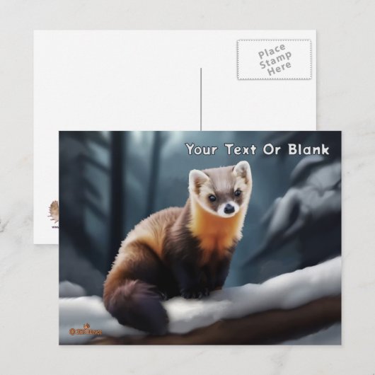 Amerikaanse pine Marten Briefkaart (Voorkant / Achterkant)