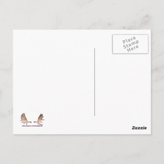 Amerikaanse pine Marten Briefkaart (Achterkant)