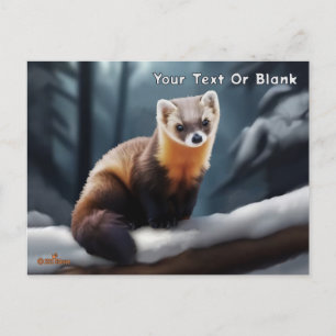 Amerikaanse pine Marten Briefkaart