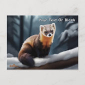 Amerikaanse pine Marten Briefkaart (Voorkant)