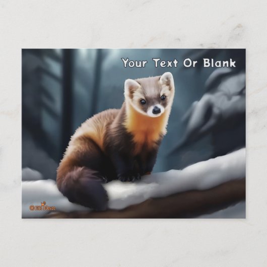 Amerikaanse pine Marten Briefkaart (Voorkant)