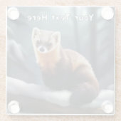 Amerikaanse pine Marten Glazen Onderzetter (Achterkant)