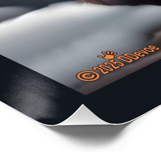 Amerikaanse pine Marten Perfect Poster (Hoek)