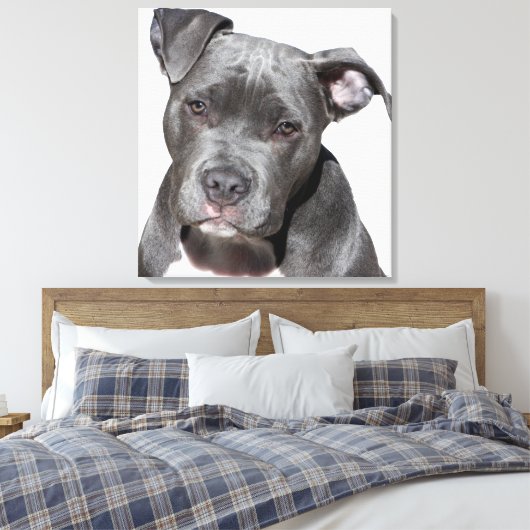 Amerikaanse Pit Bull Terrier Canvas Afdruk (Insitu (Slaapkamer))