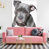 Amerikaanse Pit Bull Terrier Canvas Afdruk (Insitu (Woonkamer))