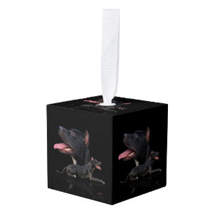 Amerikaanse Pit Bull Terrier Decoratie