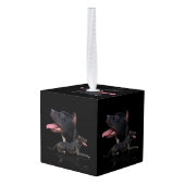 Amerikaanse Pit Bull Terrier Decoratie (Achter hoekig)