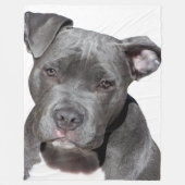 Amerikaanse Pit Bull Terrier Fleece Deken (Voorkant)