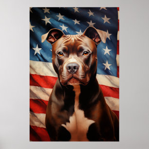 Amerikaanse Pit Bull Terrier Poster