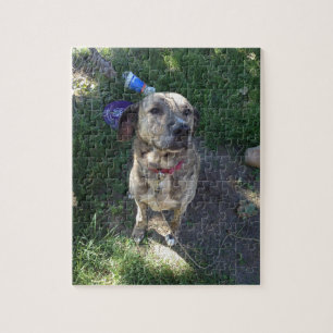 Amerikaanse Pit Bull Terrier Puzzle Legpuzzel