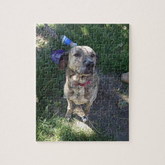 Amerikaanse Pit Bull Terrier Puzzle Legpuzzel (Verticaal)