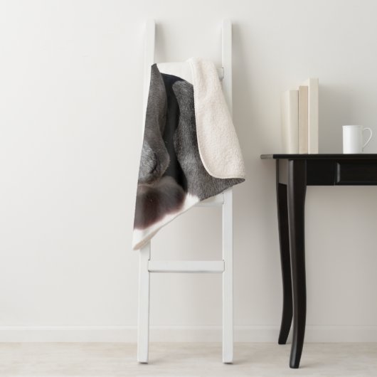 Amerikaanse Pit Bull Terrier Sherpa Deken (In situ)