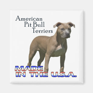 Amerikaanse Pit Bull Terriers : Vierkante Magneet