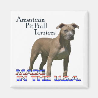 Amerikaanse Pit Bull Terriers : Vierkante Magneet