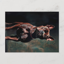 Amerikaanse pit-stier briefkaart