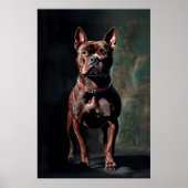 Amerikaanse pit-stier poster (Voorkant)