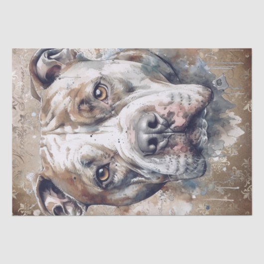 Amerikaanse Pitbull Dog Tissuepapier (Voorkant)