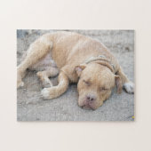 Amerikaanse Pitbull Terrier Dog Legpuzzel (Horizontaal)