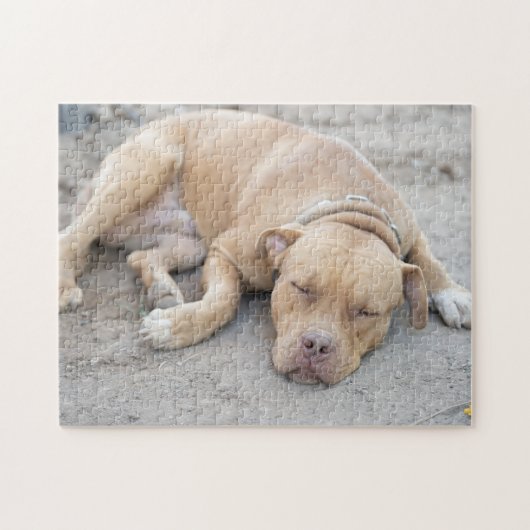 Amerikaanse Pitbull Terrier Dog Legpuzzel (Horizontaal)