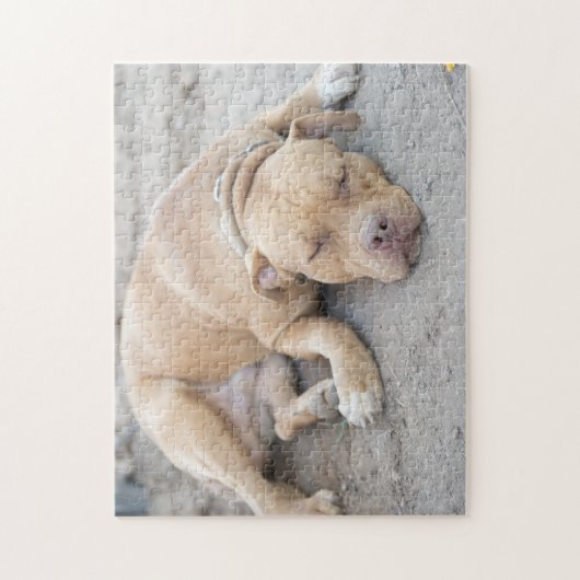 Amerikaanse Pitbull Terrier Dog Legpuzzel (Verticaal)