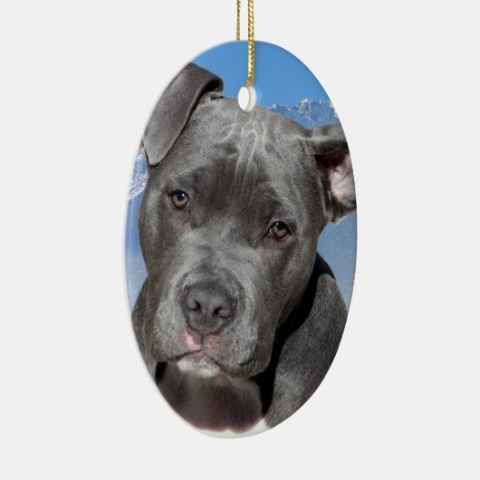 Amerikaanse Pitbull Terrier Puppy Dog Keramisch Ornament (Rechts)