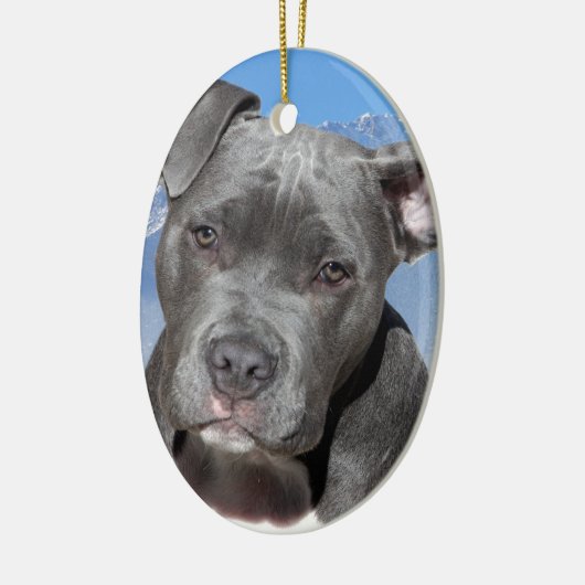 Amerikaanse Pitbull Terrier Puppy Dog Keramisch Ornament (Links)
