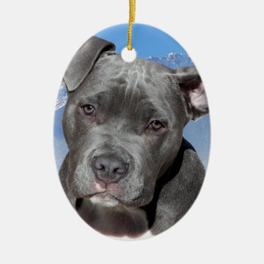 Amerikaanse Pitbull Terrier Puppy Dog Keramisch Ornament (Voorkant)