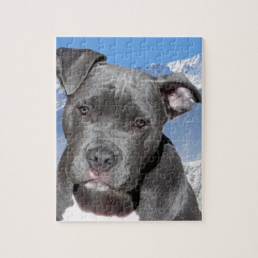 Amerikaanse Pitbull Terrier Puppy Dog Legpuzzel (Verticaal)
