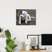 Amerikaanse PItbull Terrier Puppy Dog Poster (Thuiskantoor)