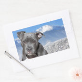 Amerikaanse Pitbull Terrier Puppy Dog Rechthoekige Sticker (Envelop)