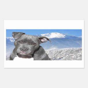 Amerikaanse Pitbull Terrier Puppy Dog Rechthoekige Sticker